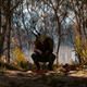 Illustration for article titled iThe Witcher 3/i, As Told Through Beautiful Screenshots